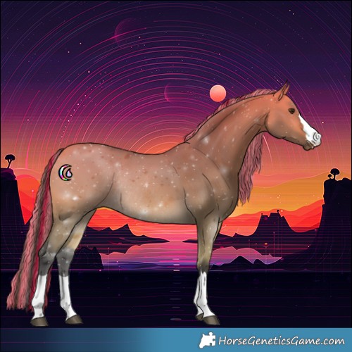 Horse Color:Painted Buckskin Dun Rabicano 