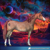 Horse Color:Painted Buckskin Dun Rabicano