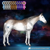 Horse Color:Gray Bay Dun Splash Tobiano