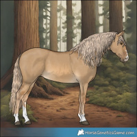 Horse Color:Chocolate Palomino Dun 