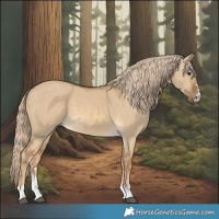Horse Color:Chocolate Palomino Dun 