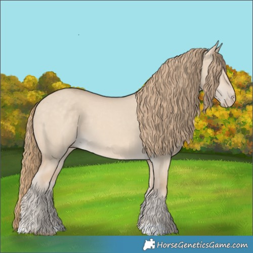 Horse Color:Perlino Dun 