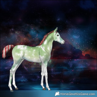 Horse Color:Painted Watercolor White Spotted Silver Bay Onyx Tobiano Rabicano 