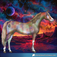 Horse Color:Painted Nacre Silver Bay Onyx Rabicano 