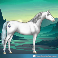 Horse Color:Watercolor White Spotted Blue Roan Appaloosa Rabicano 