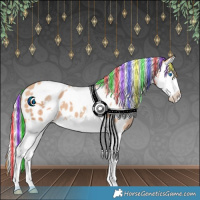 Horse Color:Painted White Spotted Silver Sable Champagne Splash Appaloosa 