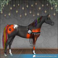 Horse Color:Painted Black Appaloosa 