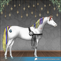 Horse Color:Painted Red Roan Splash Tobiano 