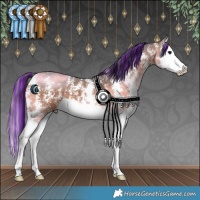 Horse Color:Painted Bay Sabino Splash 