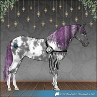 Horse Color:Painted White Spotted Black 