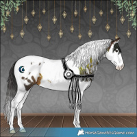 Horse Color:Brown Splash Tobiano Appaloosa Rabicano 