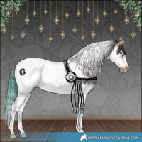 Horse Color:White Spotted Bay Ice Splash Tobiano Frame Rabicano 