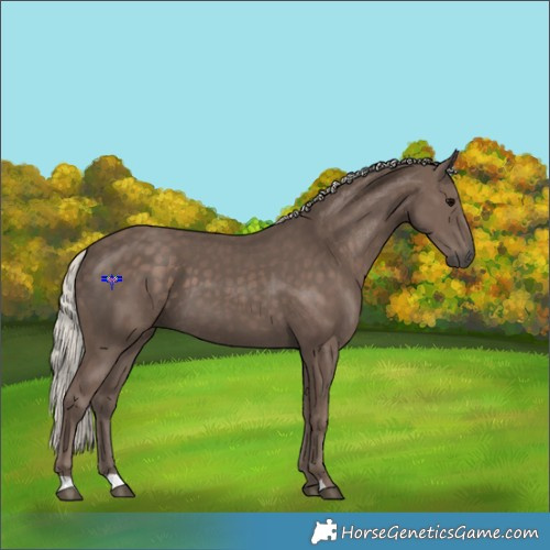 Horse Color:Silver Black 