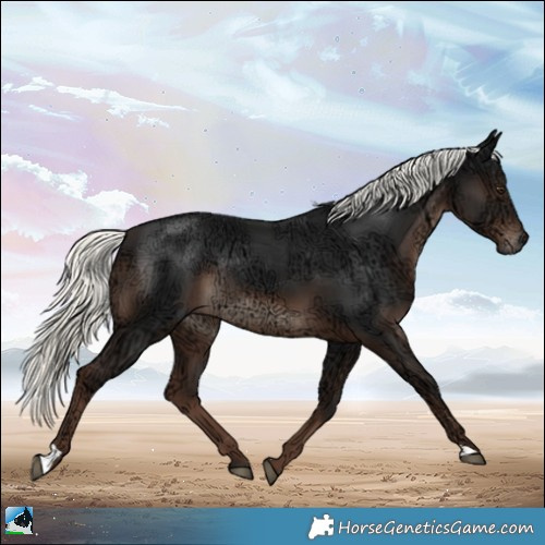 Horse Color:Liver Chestnut Ice Mushroom Rabicano 