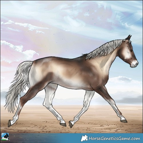 Horse Color:Liver Red Onyx Mushroom Rabicano 