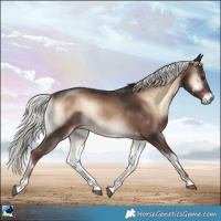 Horse Color:Liver Red Onyx Mushroom Rabicano