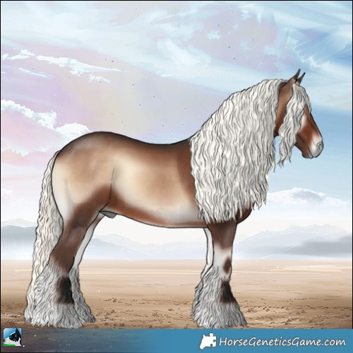 Horse Color:Liver Red Onyx Mushroom Rabicano 