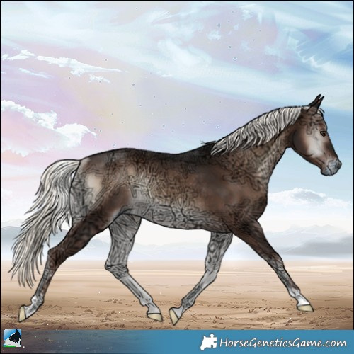 Horse Color:Liver Red Onyx Ice Mushroom Rabicano 