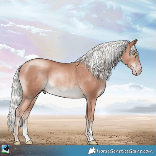 Horse Color:Gold Champagne Mushroom Rabicano 