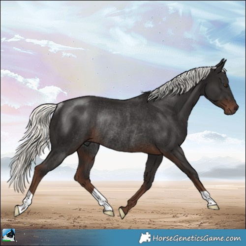 Horse Color:Liver Chestnut Mushroom Rabicano 
