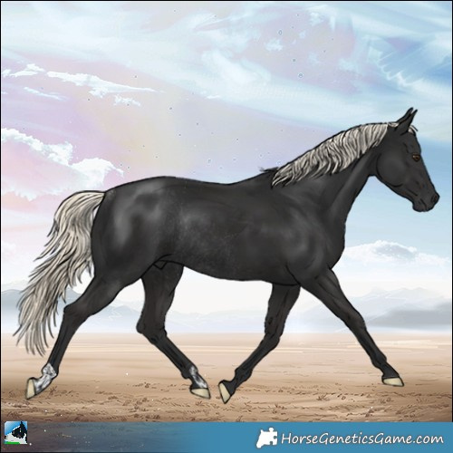 Horse Color:Gray Liver Chestnut Mushroom Rabicano 