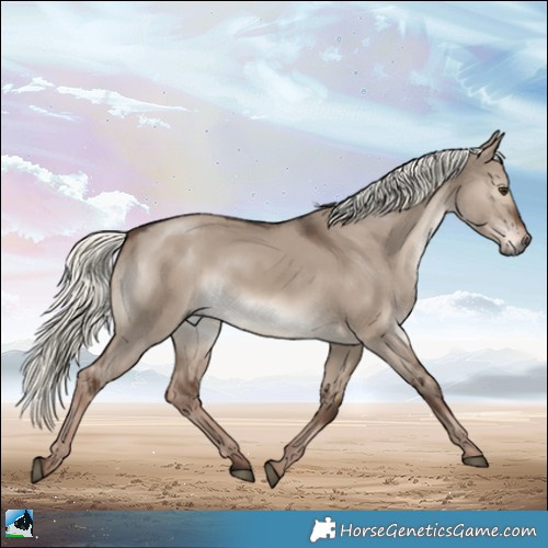 Horse Color:Liver Red Dun Mushroom Rabicano 
