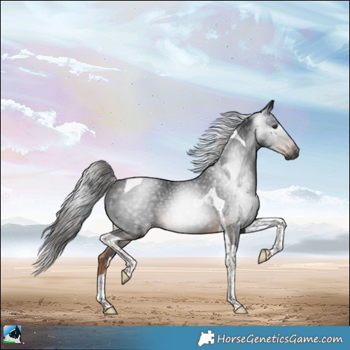 Horse Color:Gray Liver Chestnut Tobiano Rabicano