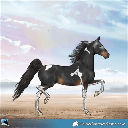 Horse Color:Gray Liver Chestnut Tobiano Rabicano