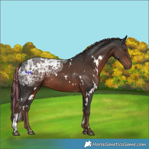 Horse Color:Painted White Spotted Liver Chestnut Ice 