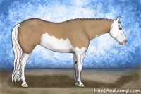 Horse Color:Silver Bay Dun Splash
