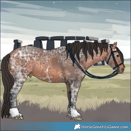 Horse Color:Bay Ice 
