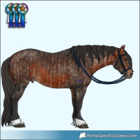 Horse Color:Brown Dun  and Bay 