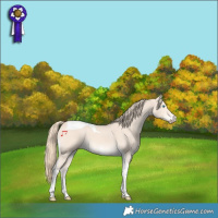 Horse Color:Perlino Tobiano 