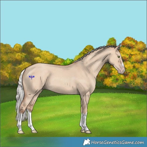 Horse Color:Silver Classic Champagne Dun Splash Frame 