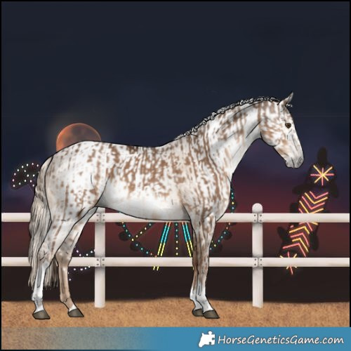 Horse Color:White Spotted Liver Red Dun Tobiano  and Gray Chocolate Palomino Dun Tobiano 