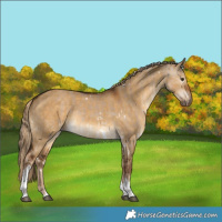 Horse Color:White Spotted Liver Red Dun Tobiano  and Gray Chocolate Palomino Dun Tobiano 
