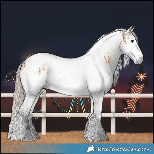 Horse Color:Chocolate Palomino Dun Splash Tobiano  and Gray Silver Buckskin Onyx Tobiano 