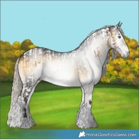 Horse Color:Chocolate Palomino Dun Splash Tobiano and Gray Silver Buckskin Onyx Tobiano