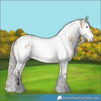 Horse Color:Chocolate Palomino Dun Splash Tobiano  and Gray Silver Buckskin Onyx Tobiano 