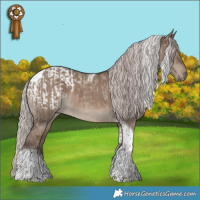 Horse Color:Silver Grullo Tobiano Appaloosa  and Silver Grullo Tobiano 