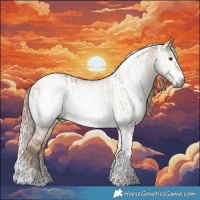 Horse Color:Gray Liver Red Dun Tobiano Appaloosa  and Gray Liver Red Dun Tobiano Appaloosa 