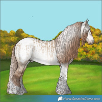 Horse Color:Gray Liver Red Dun Tobiano Appaloosa  and Gray Liver Red Dun Tobiano Appaloosa 