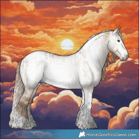 Horse Color:Gray Liver Red Dun Tobiano Appaloosa and Gray Liver Red Dun Tobiano Appaloosa