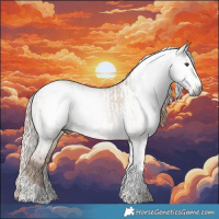 Horse Color:Gray Liver Red Dun Tobiano Appaloosa  and Gray Liver Red Dun Tobiano Appaloosa 
