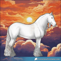 Horse Color:Gray Liver Red Dun Tobiano Appaloosa  and Gray Liver Red Dun Tobiano Appaloosa 