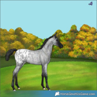 Horse Color:Midnight Blue Ice Roan Blanket 