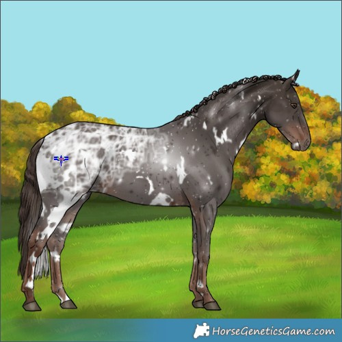 Horse Color:White Spotted Liver Chestnut Ice 