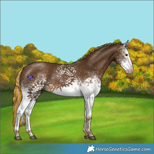 Horse Color:Painted White Spotted Chocolate Palomino 