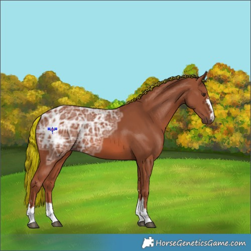 Horse Color:Painted Chestnut Ice 