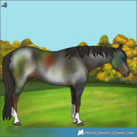 Horse Color:White Spotted Liver Chestnut Tobiano 